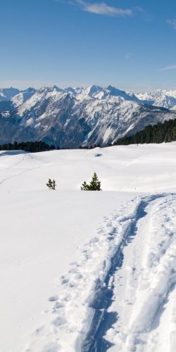Activités neige Jura