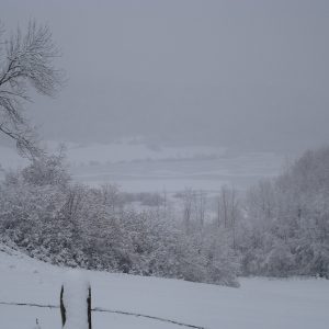 DSC01334
