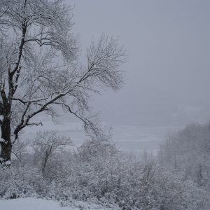 DSC01335